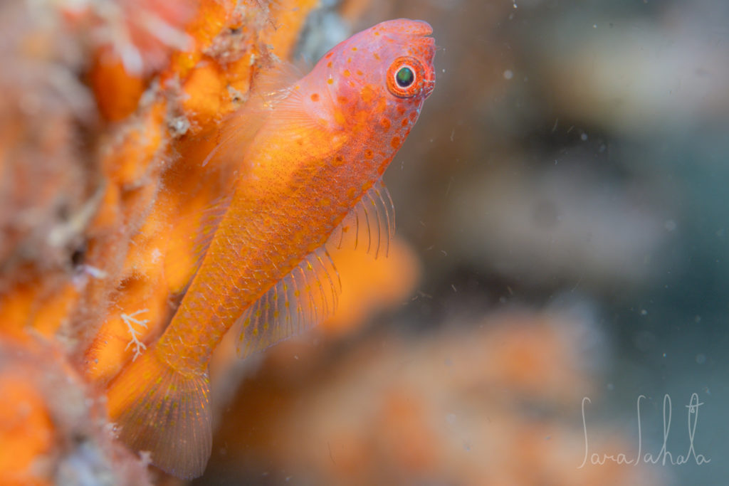 2024/11/17　井田　-25m