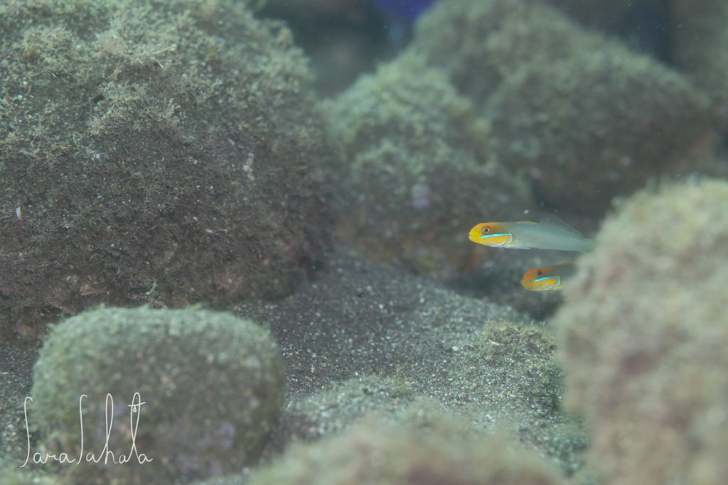 2024/11/17　井田　-3m