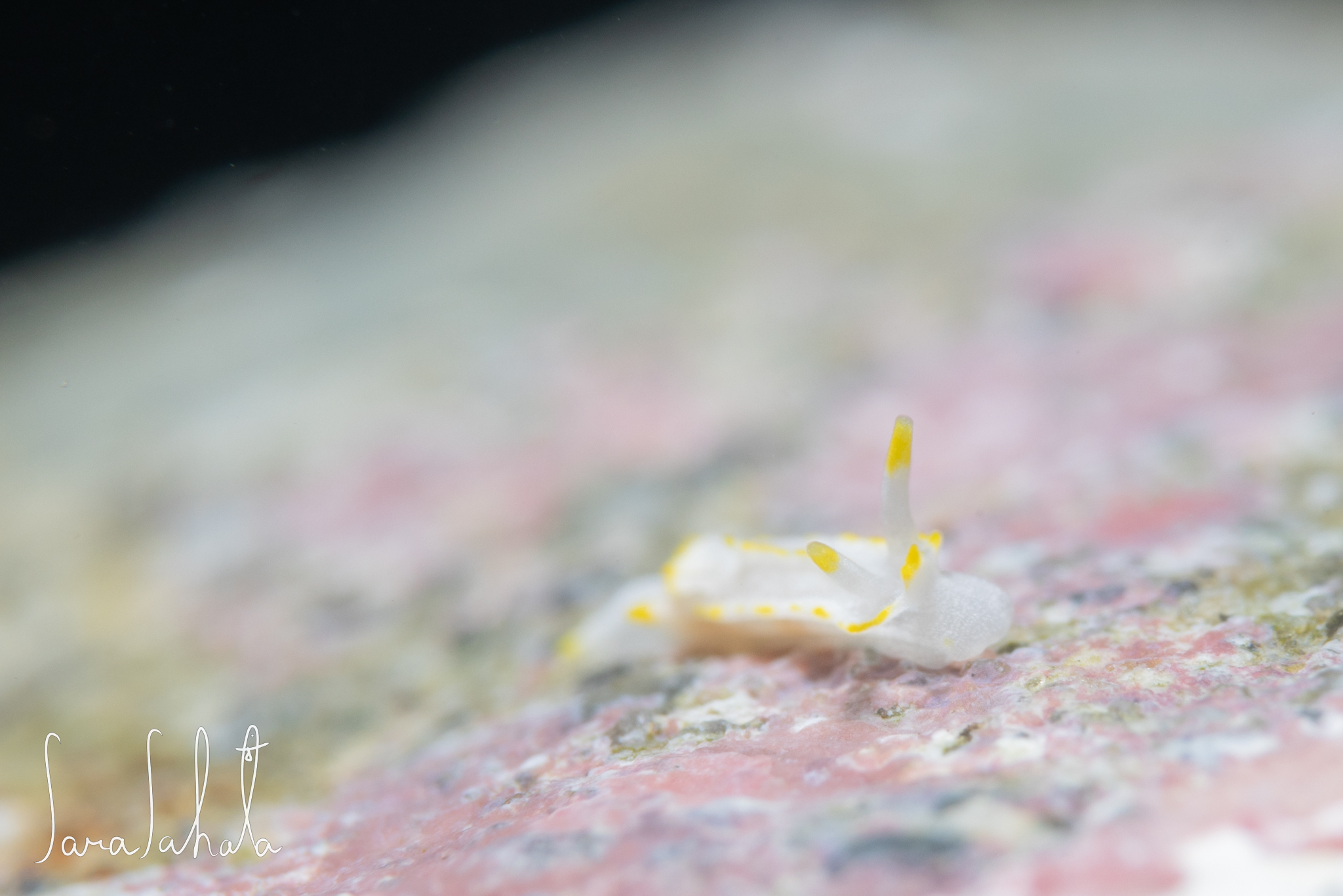 2024/12/29　葉山　-3m