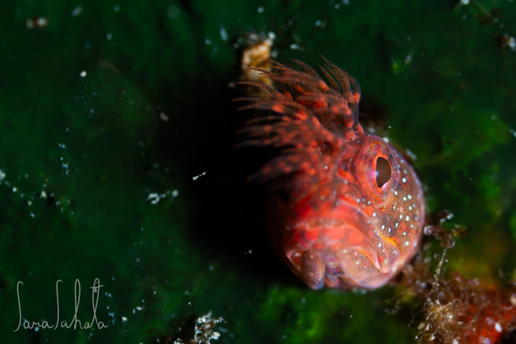 2025/1/25　南三陸　-8m