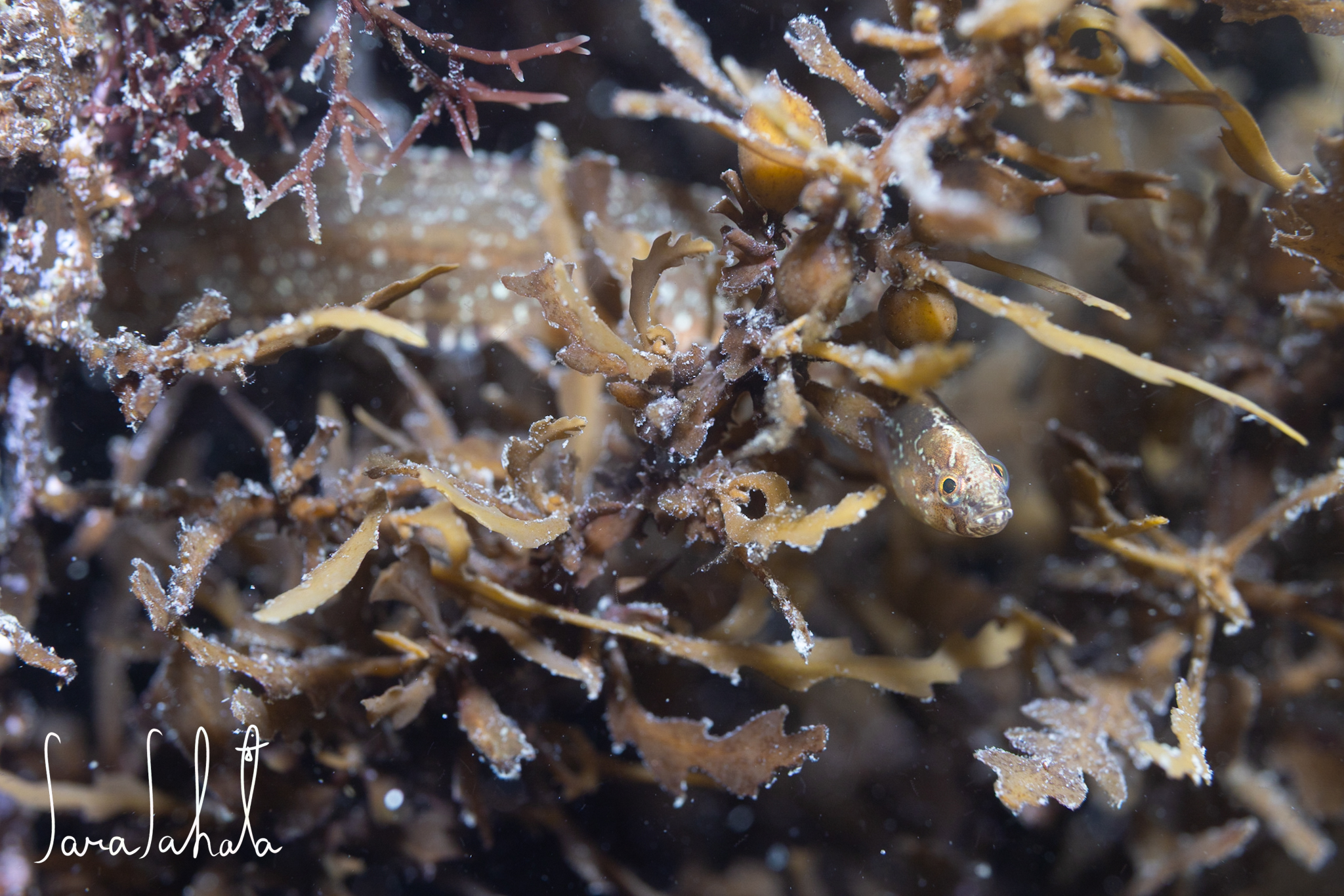 2025/5/1　坂田　-3m