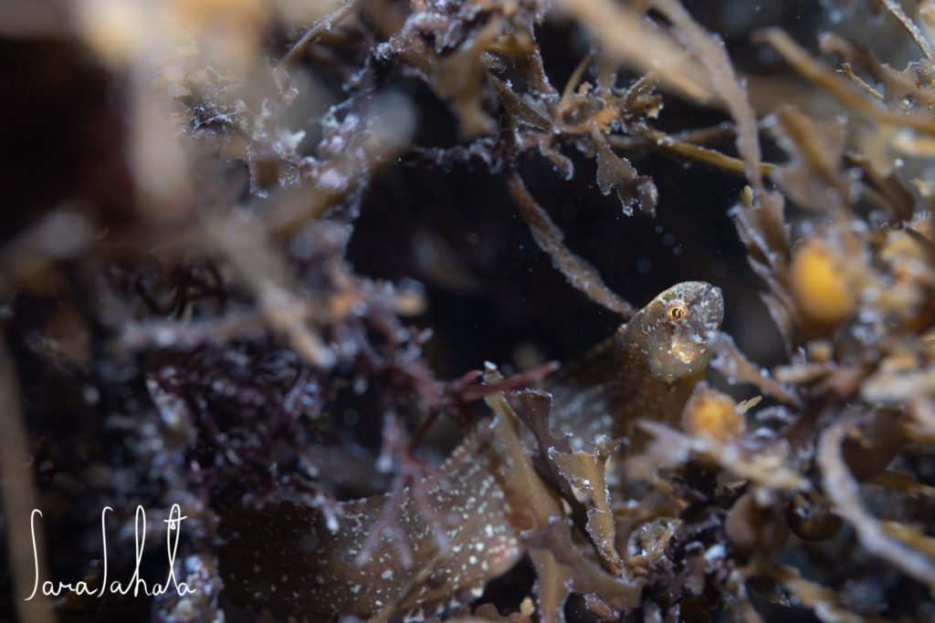 2025/5/1　坂田　-3m