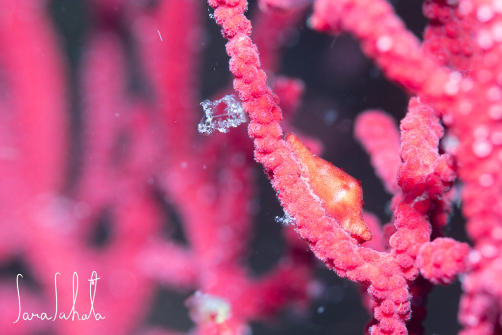 2025/5/2　坂田　-15m