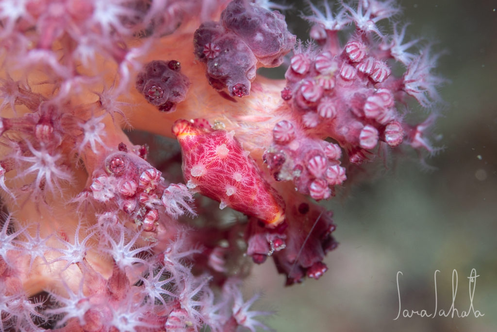 2025/5/2　坂田　-15m