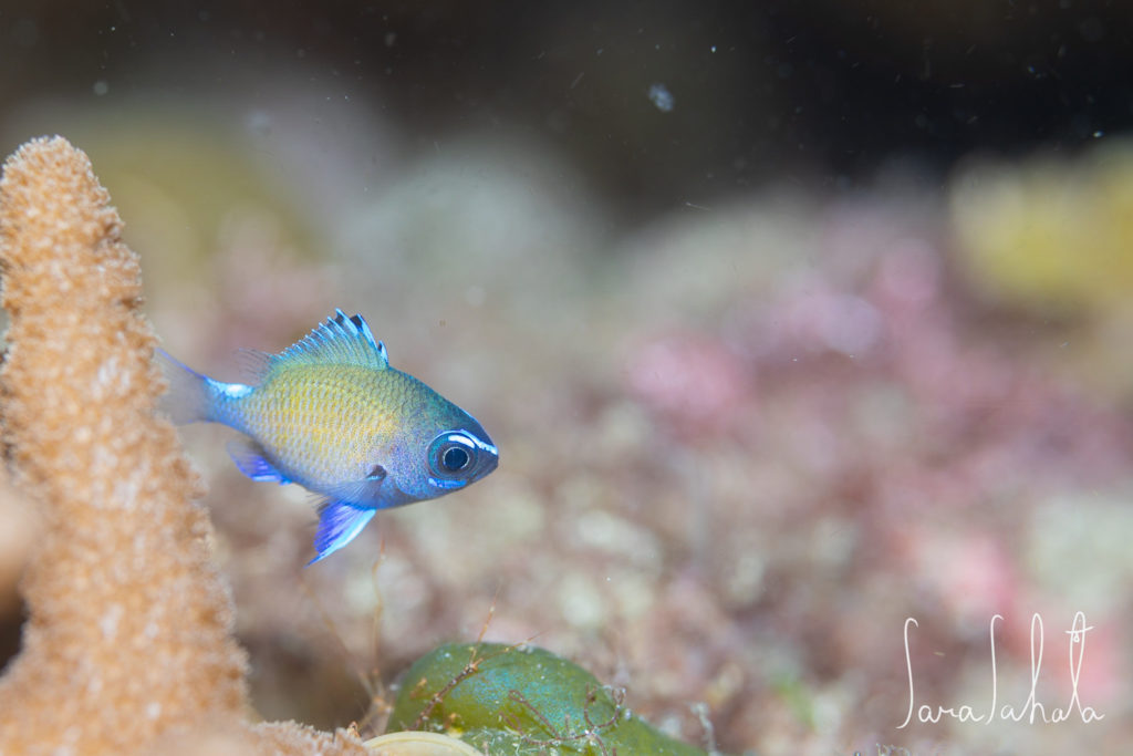 2025/5/1　坂田　-15m