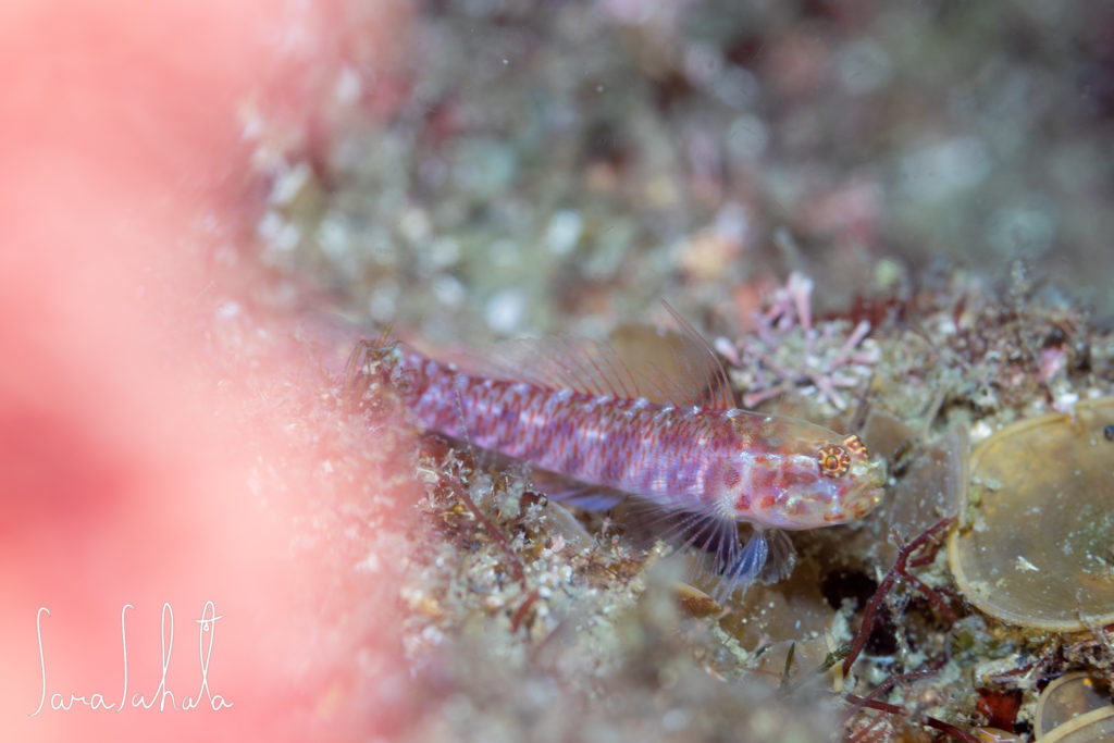 2025/5/1　坂田　-15m