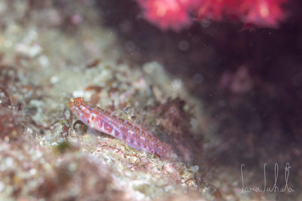 2025/5/1　坂田　-15m