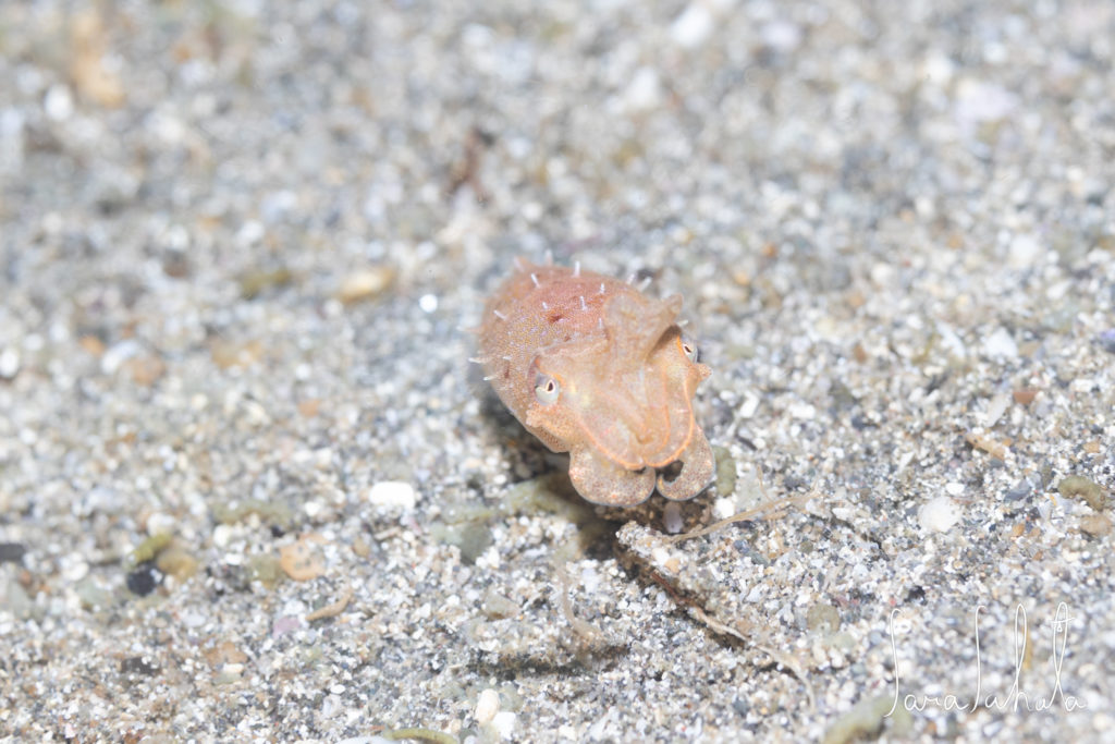 2025/5/1　坂田　-20m