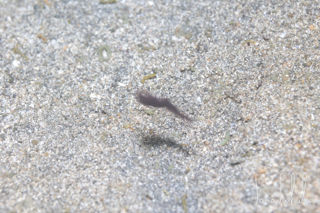 2025/5/1　坂田　-20m