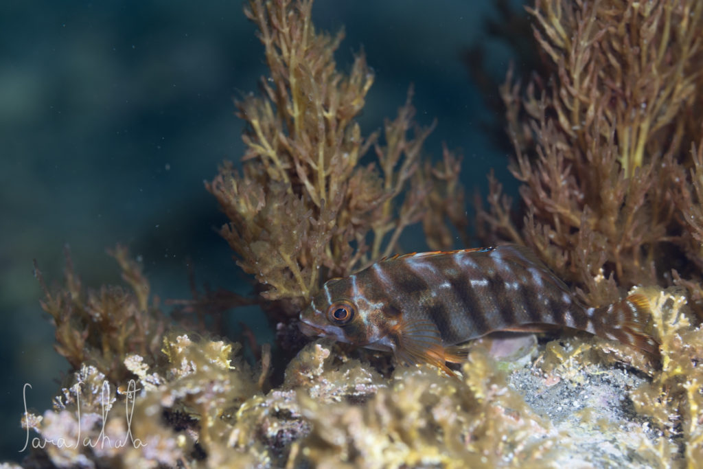 2025/5/1　坂田　-3m