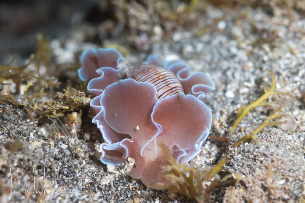 2025/5/1　坂田　-3m