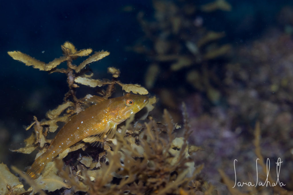 2025/5/1　坂田　-3m