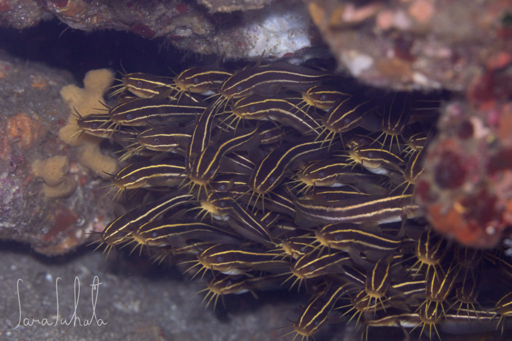 2025/5/2　坂田　-20m