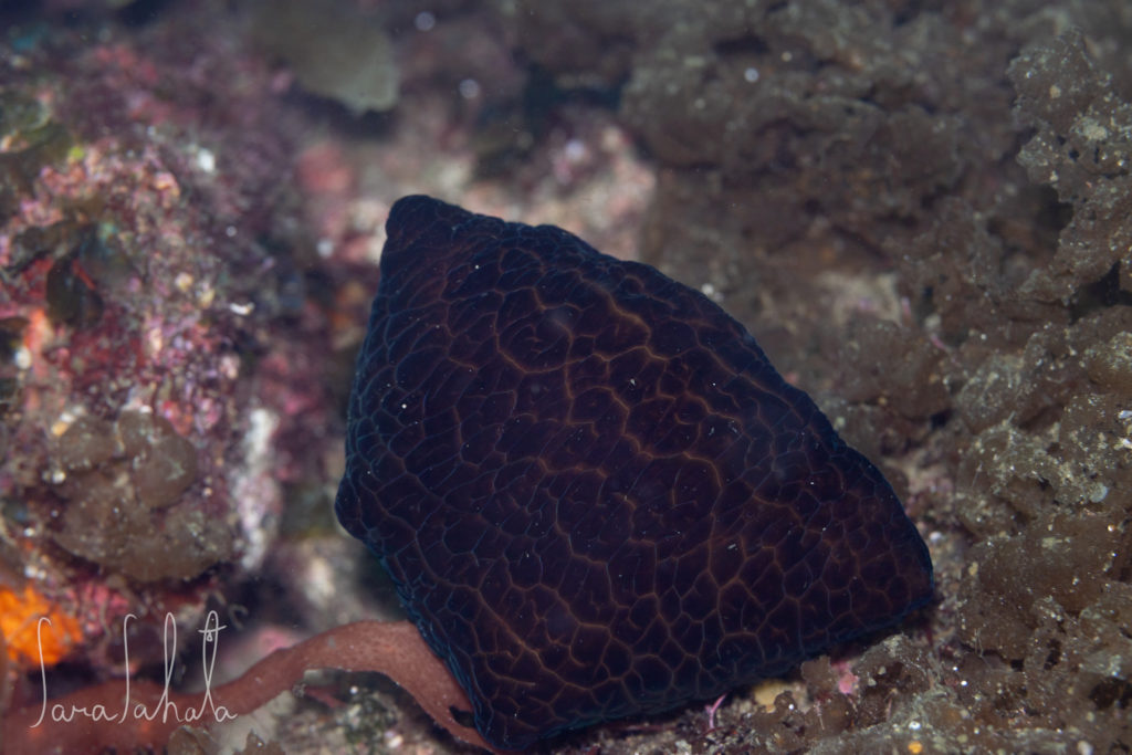 2025/5/2　坂田　-15m