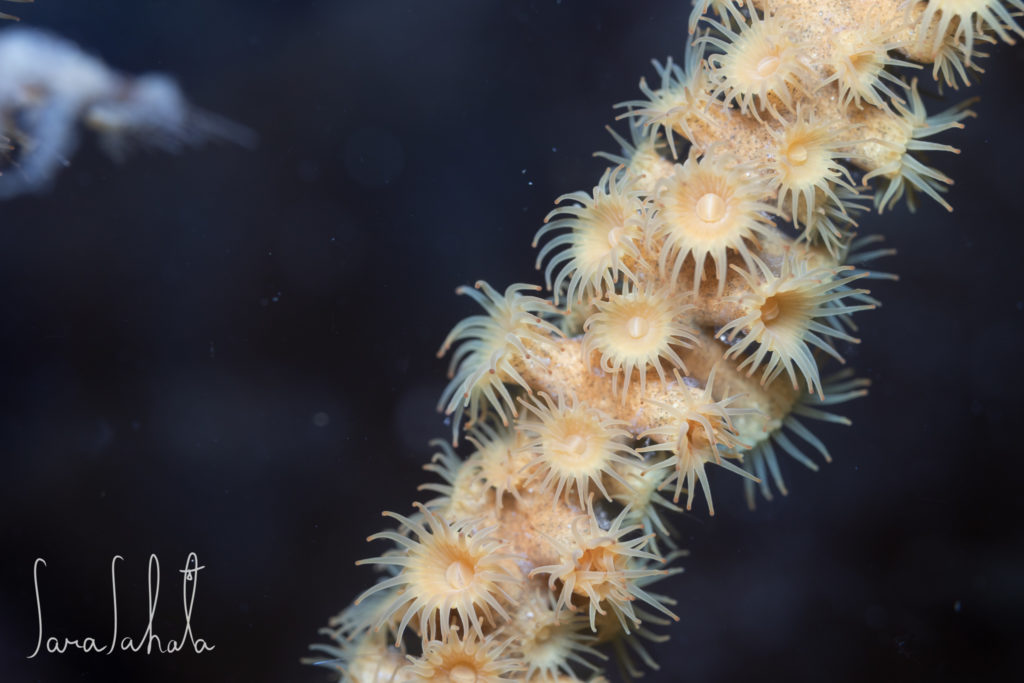 2025/5/3　坂田　-20m