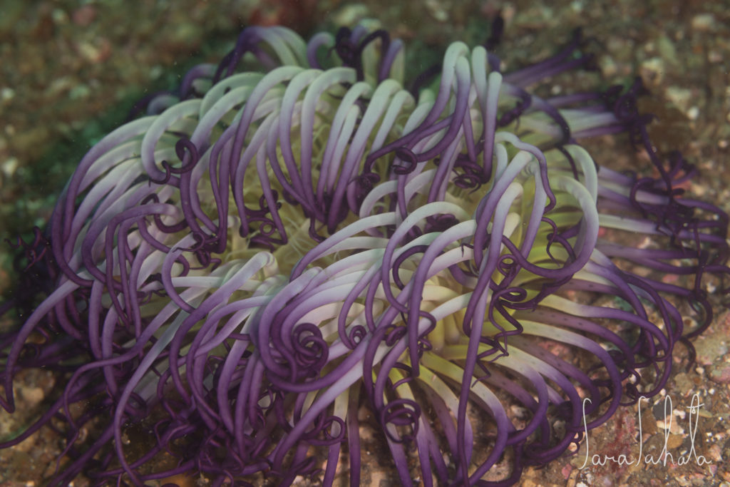 2025/5/3　坂田　-20m