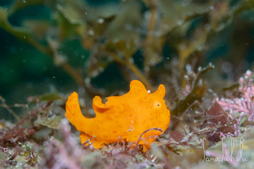 2025/5/3　坂田　-20m