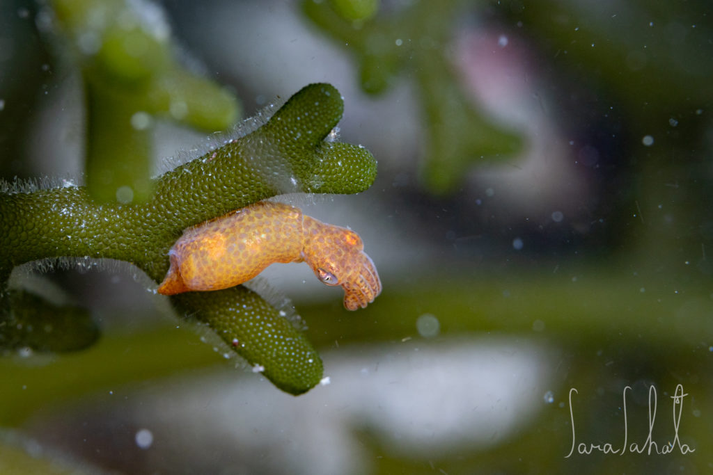 2025/5/2　坂田　-20m