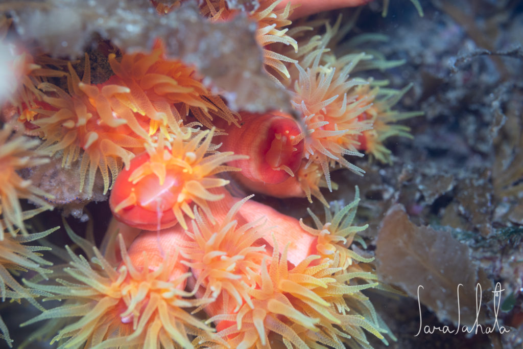 2025/5/2　坂田　-20m