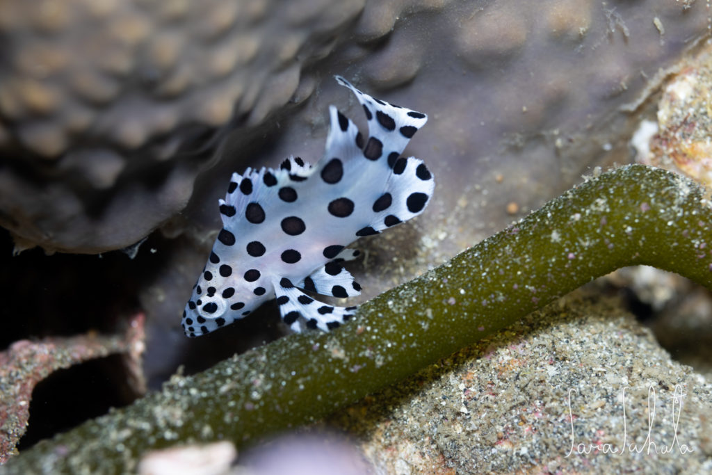 2025/9/15　坂田　-20m