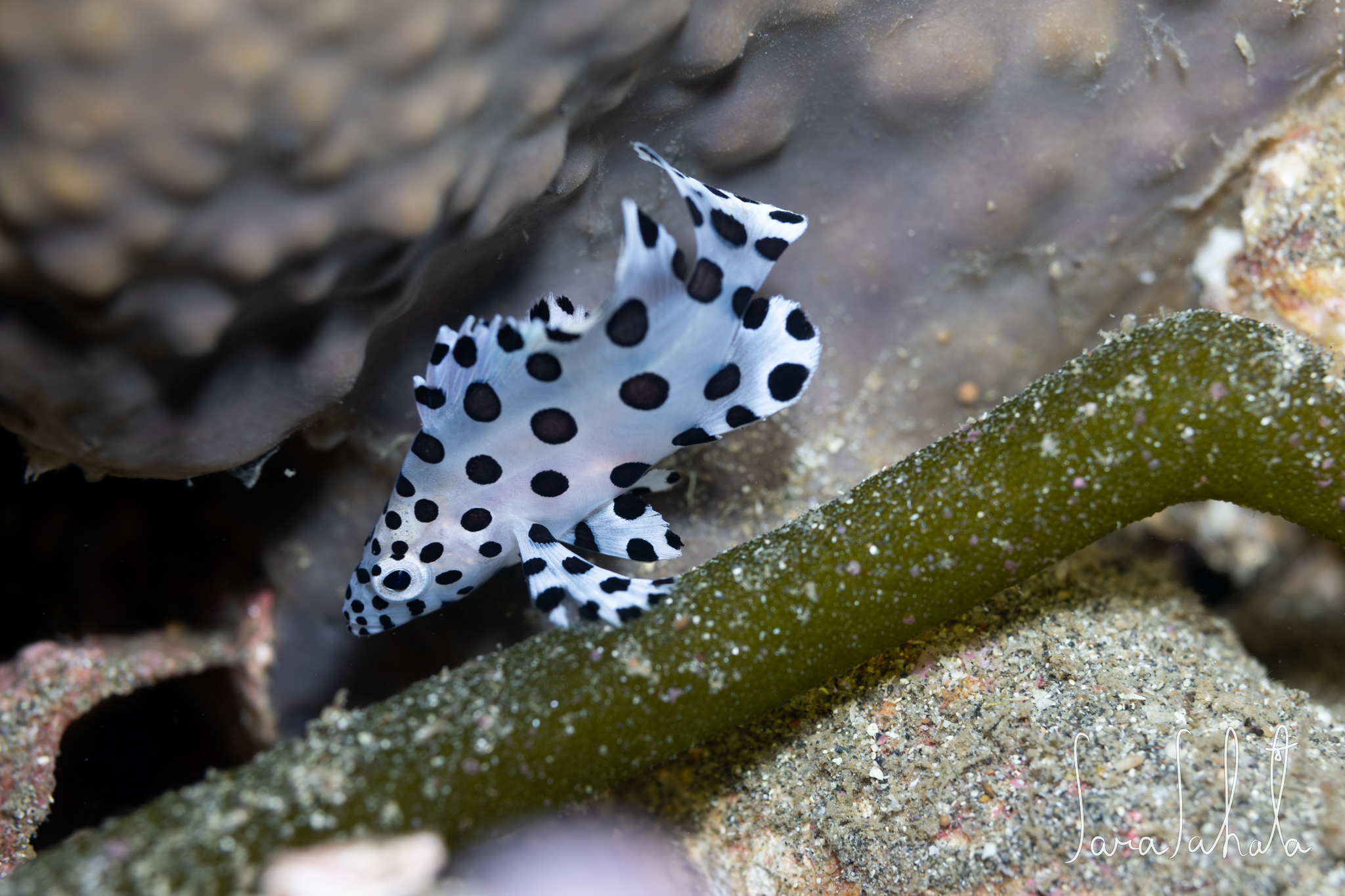 2025/9/15　坂田　-20m