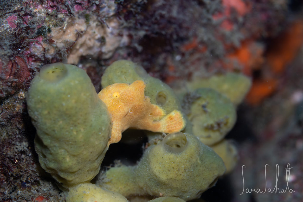 2025/9/15　坂田　-20m