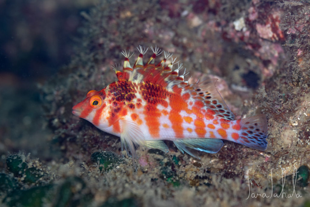 2025/9/15　坂田　-20m