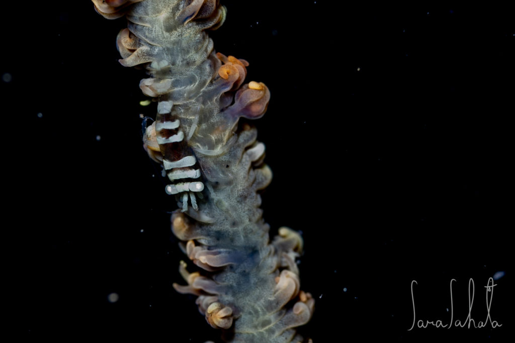 2025/9/15　坂田　-20m