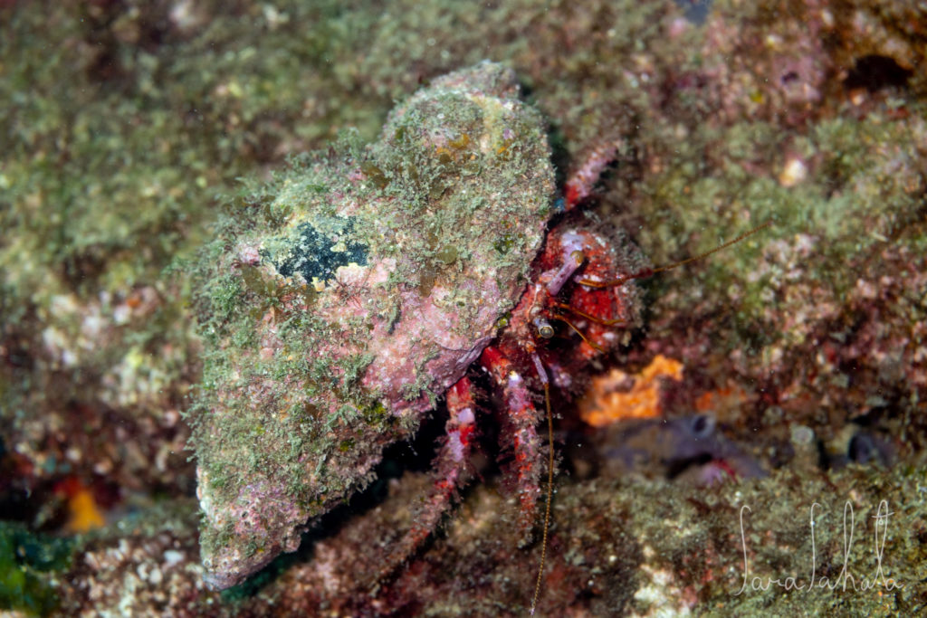 2025/9/15　坂田　-20m