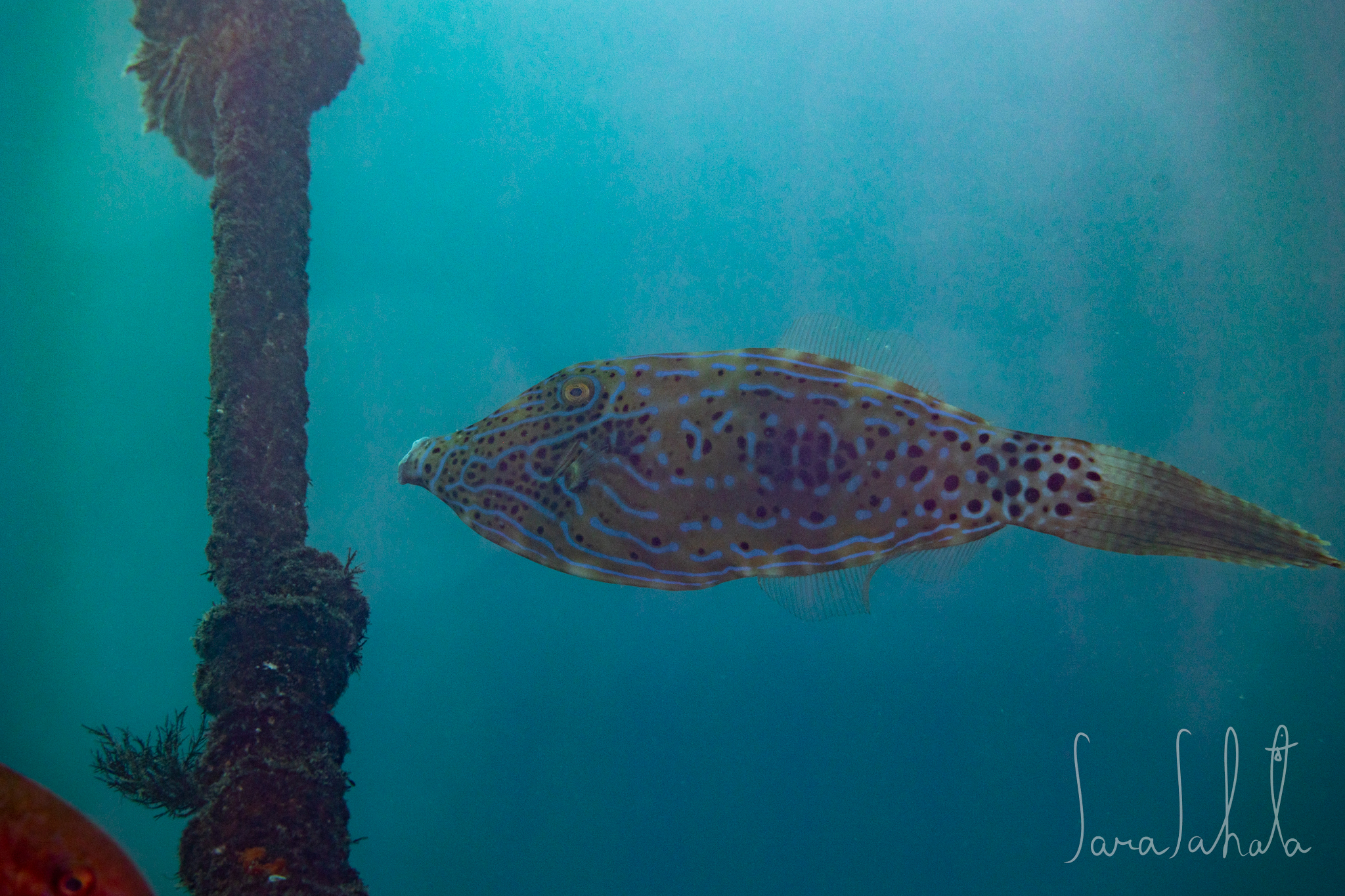 2025/9/15　坂田　-6m