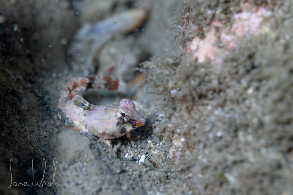 2025/9/15　坂田　-2m