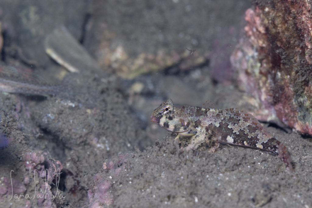 2025/9/15　坂田　-2m