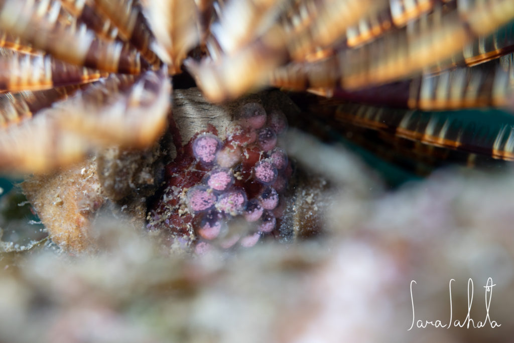 2025/9/15　坂田　-15m