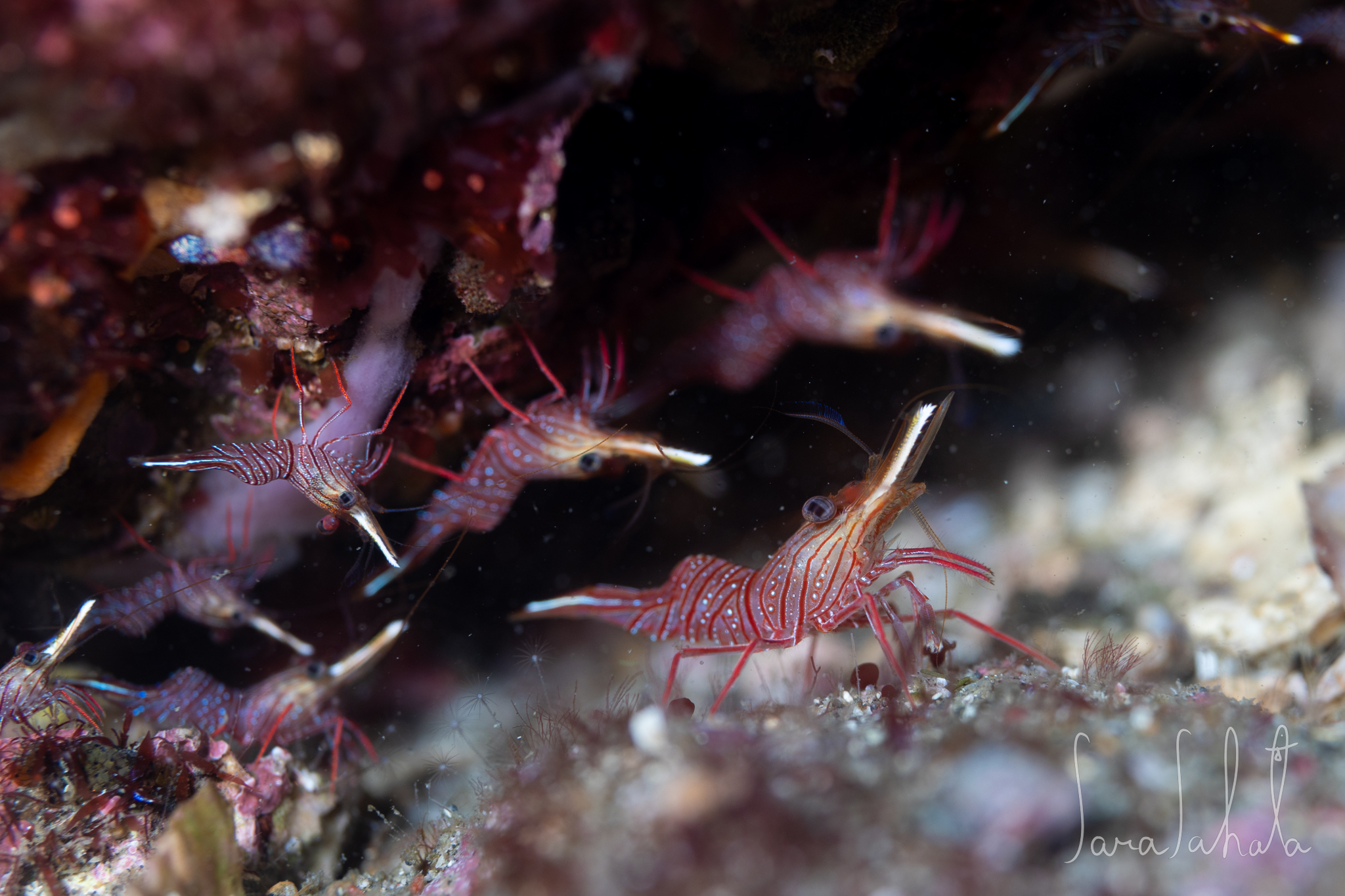 2025/9/15　坂田　-15m