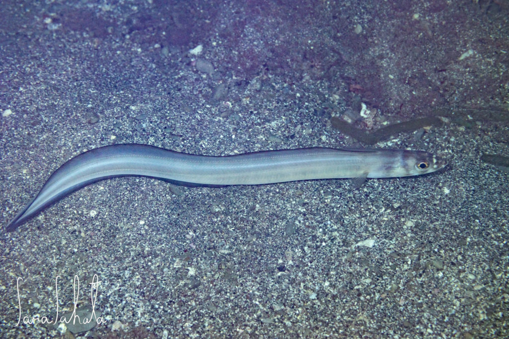 2025/9/15　坂田　-2m